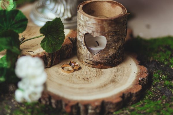 wedding rings on the stump in a green grass