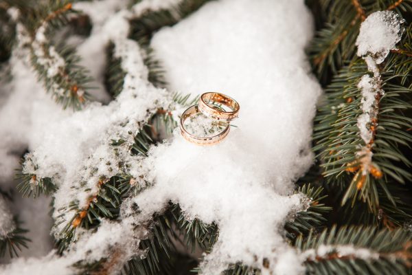 The wedding rings against the backdrop of a snow-covered tree